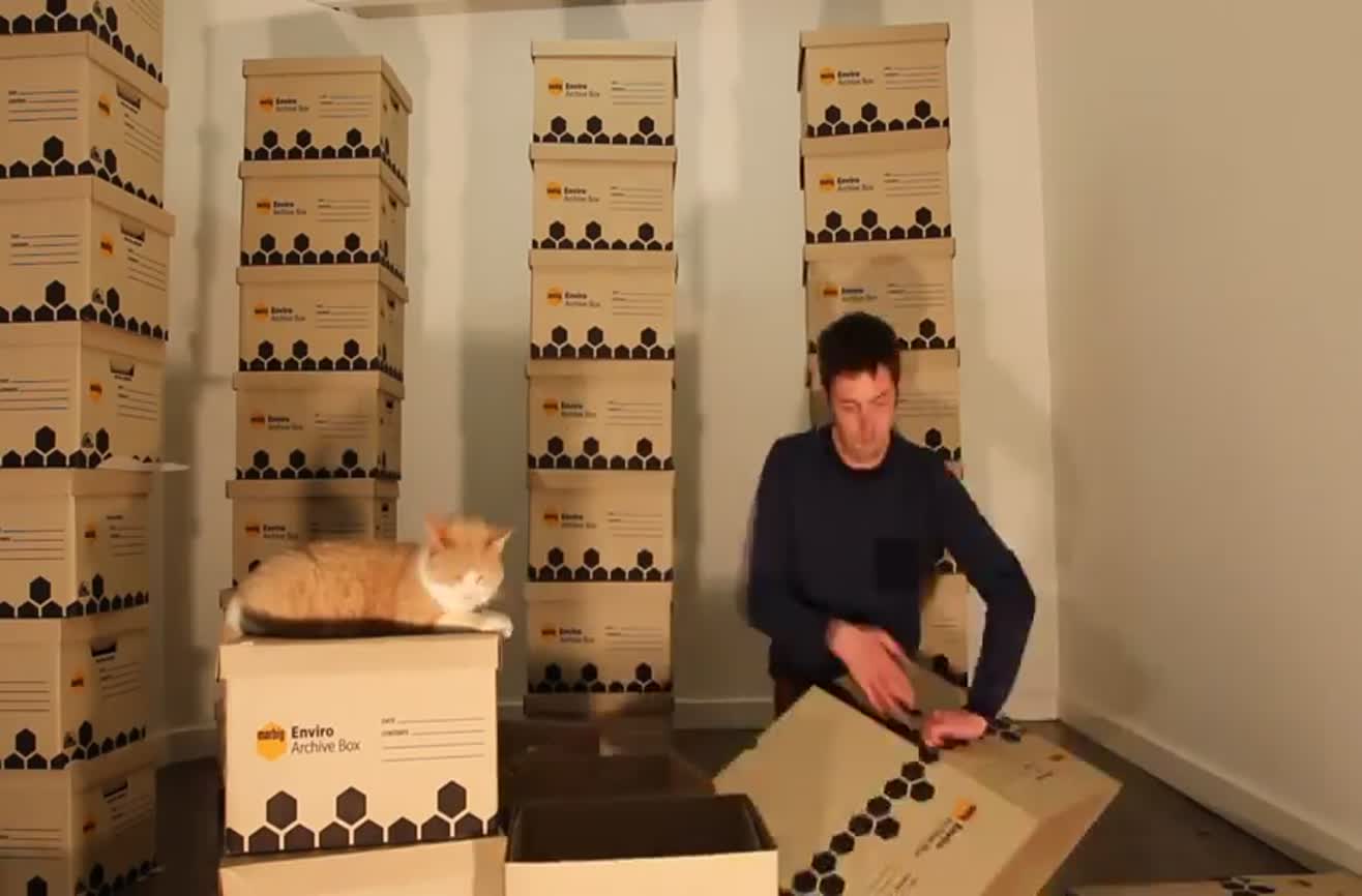 Man builds a cardboard castle for his cat.