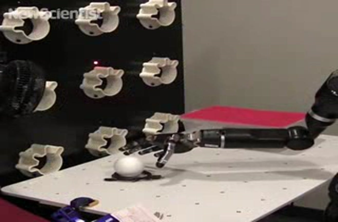Paralyzed Woman Controls Robotic Arm With Her Mind