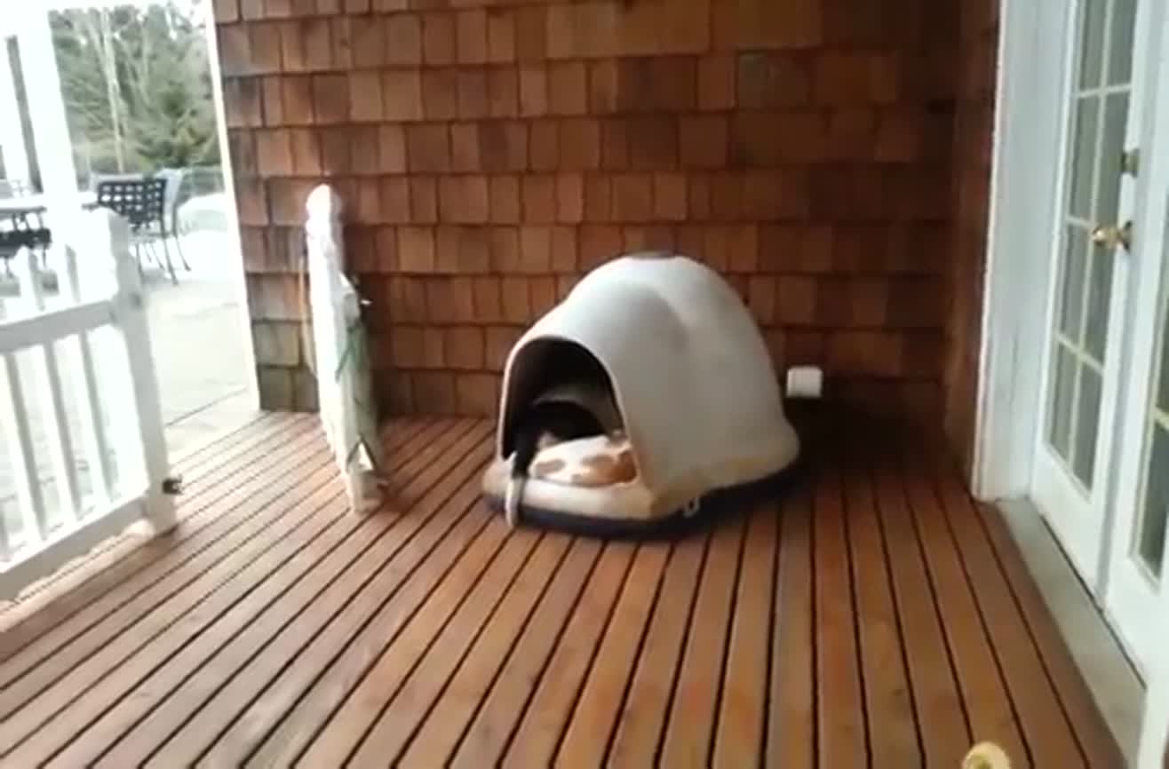 It's like a clown car.