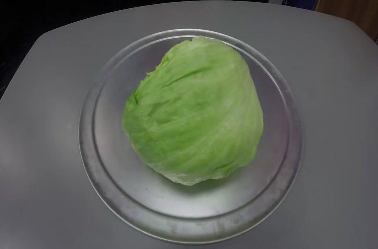 washing iceberg lettuce washing iceberg lettuce