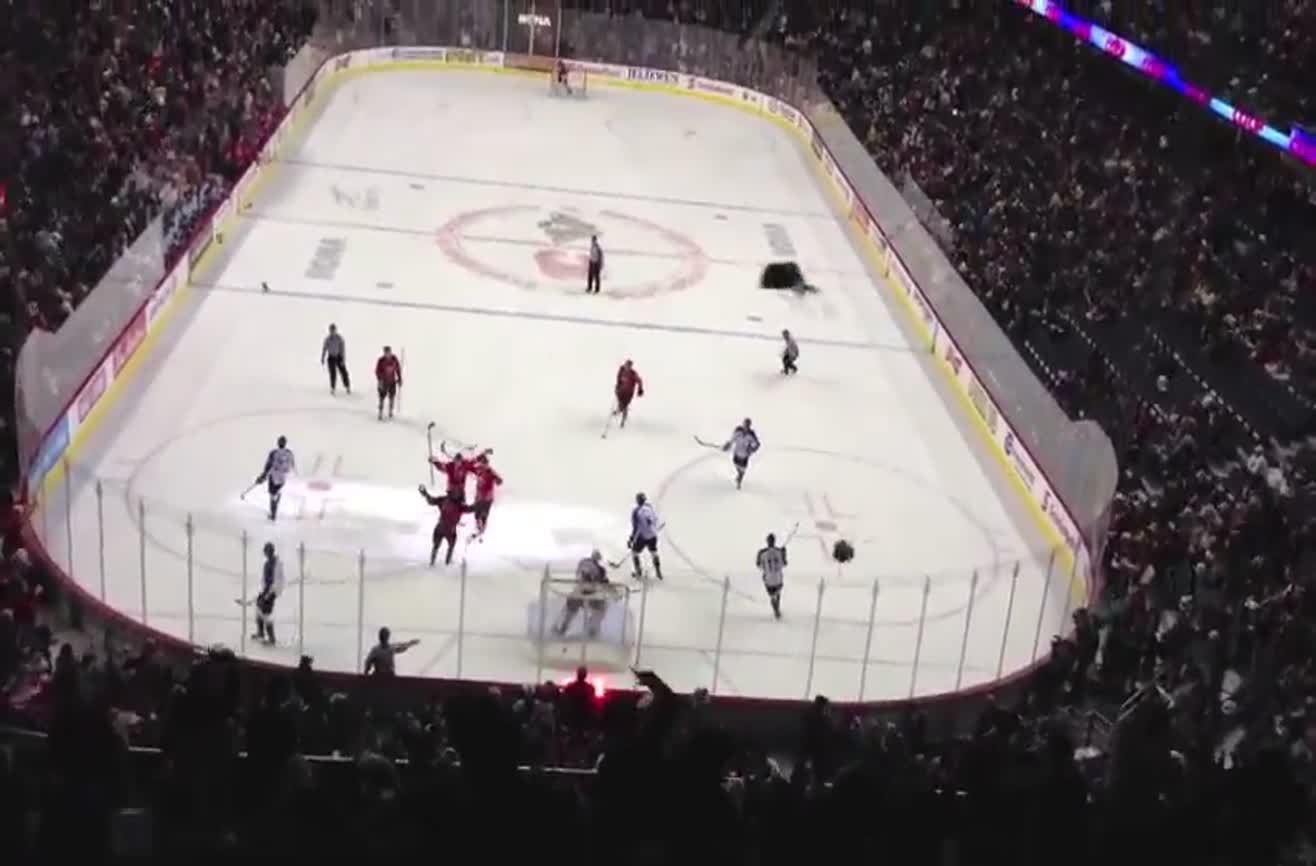 20,000 teddy bears are thrown onto the ice at a junior hockey game.