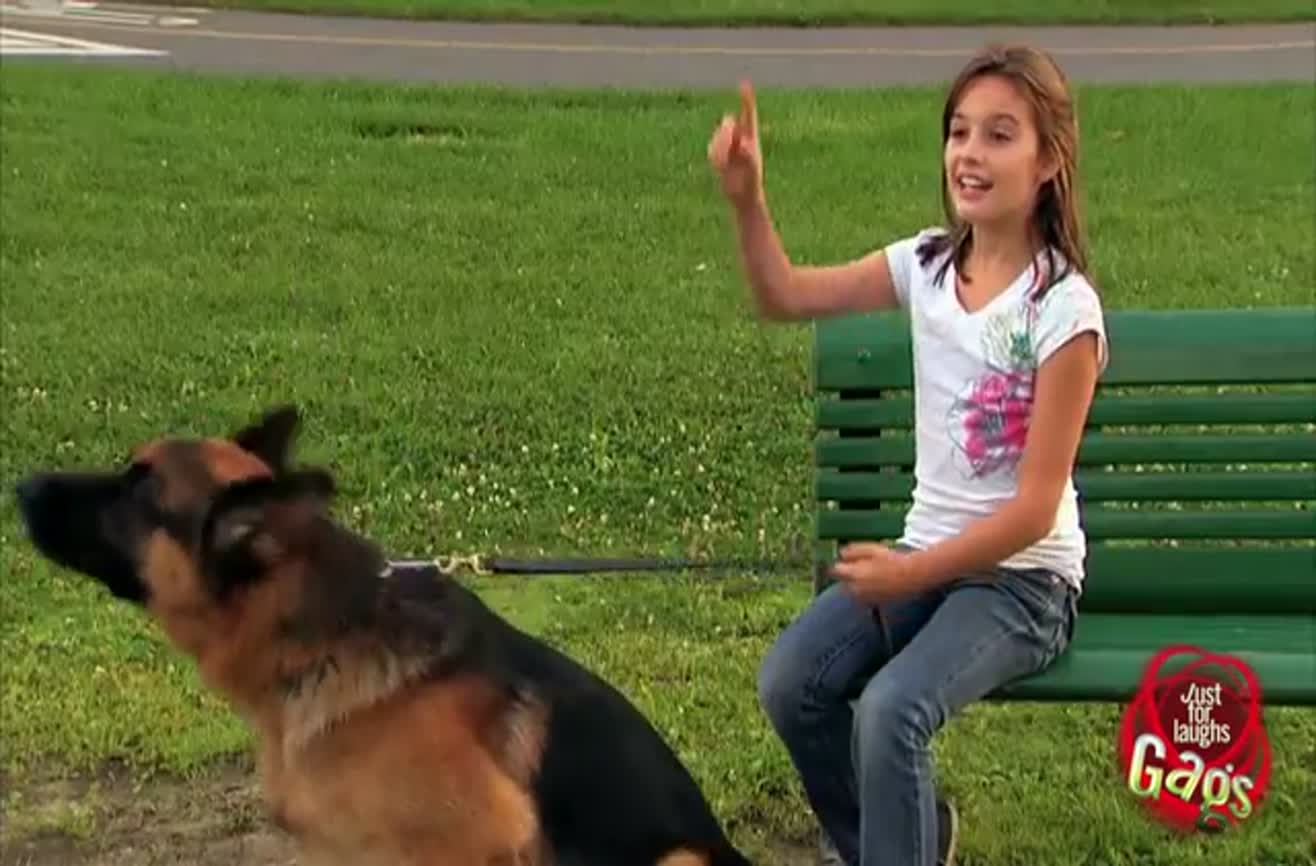 Girl vanishes into thin air prank.