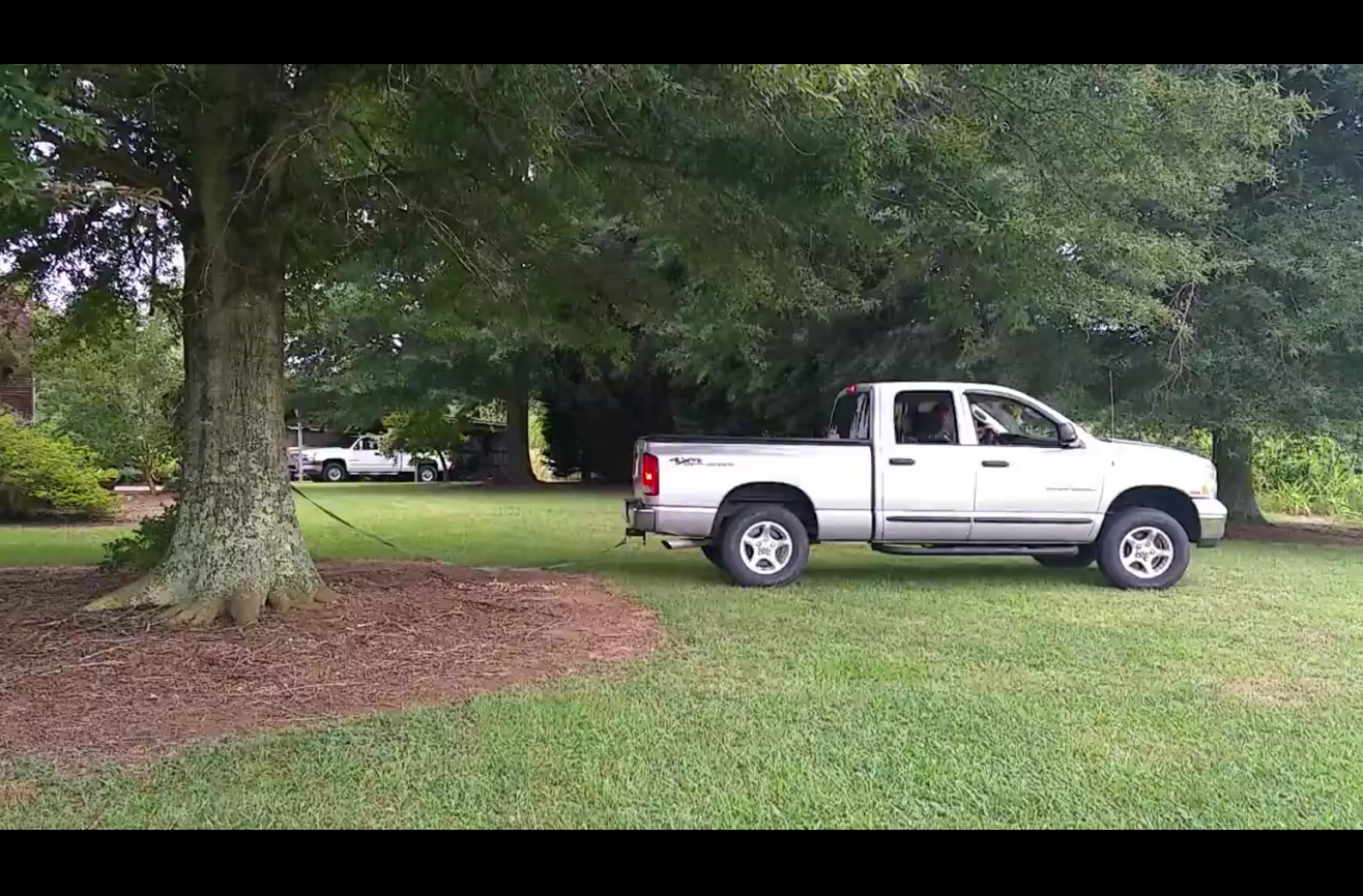 Man attempts to pull a tree out of the ground with his truck.