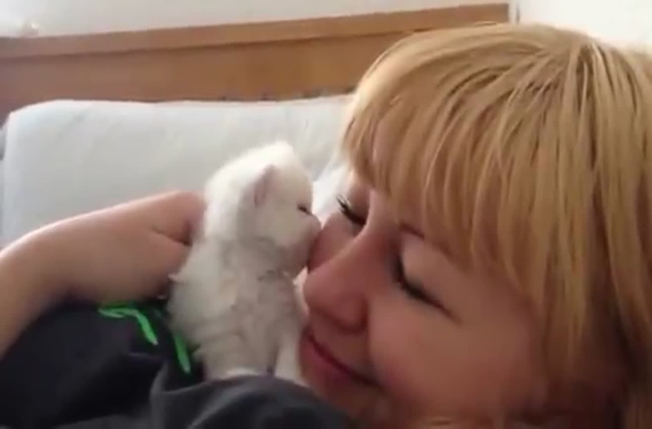 Kitten Licks Her Owners Face 