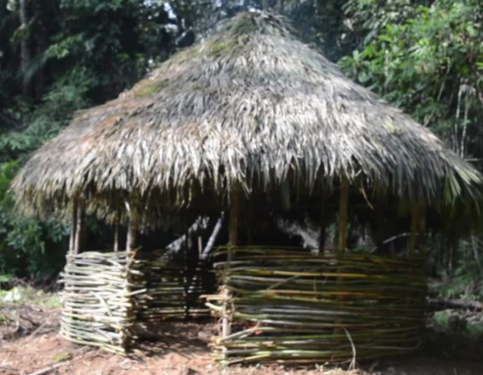 Primitive Technology Round hut.