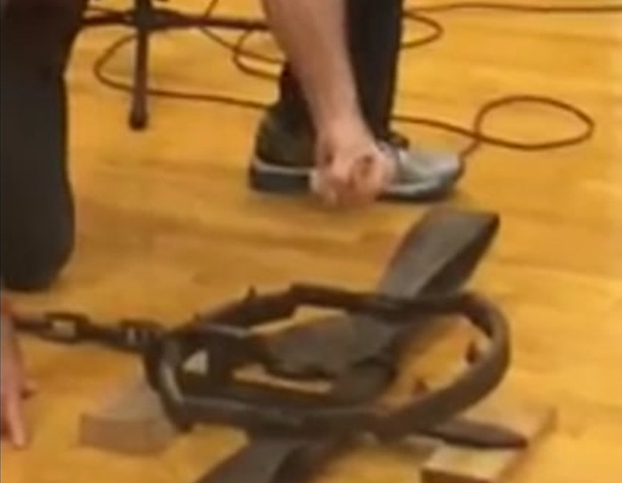 Man punches a bear trap.