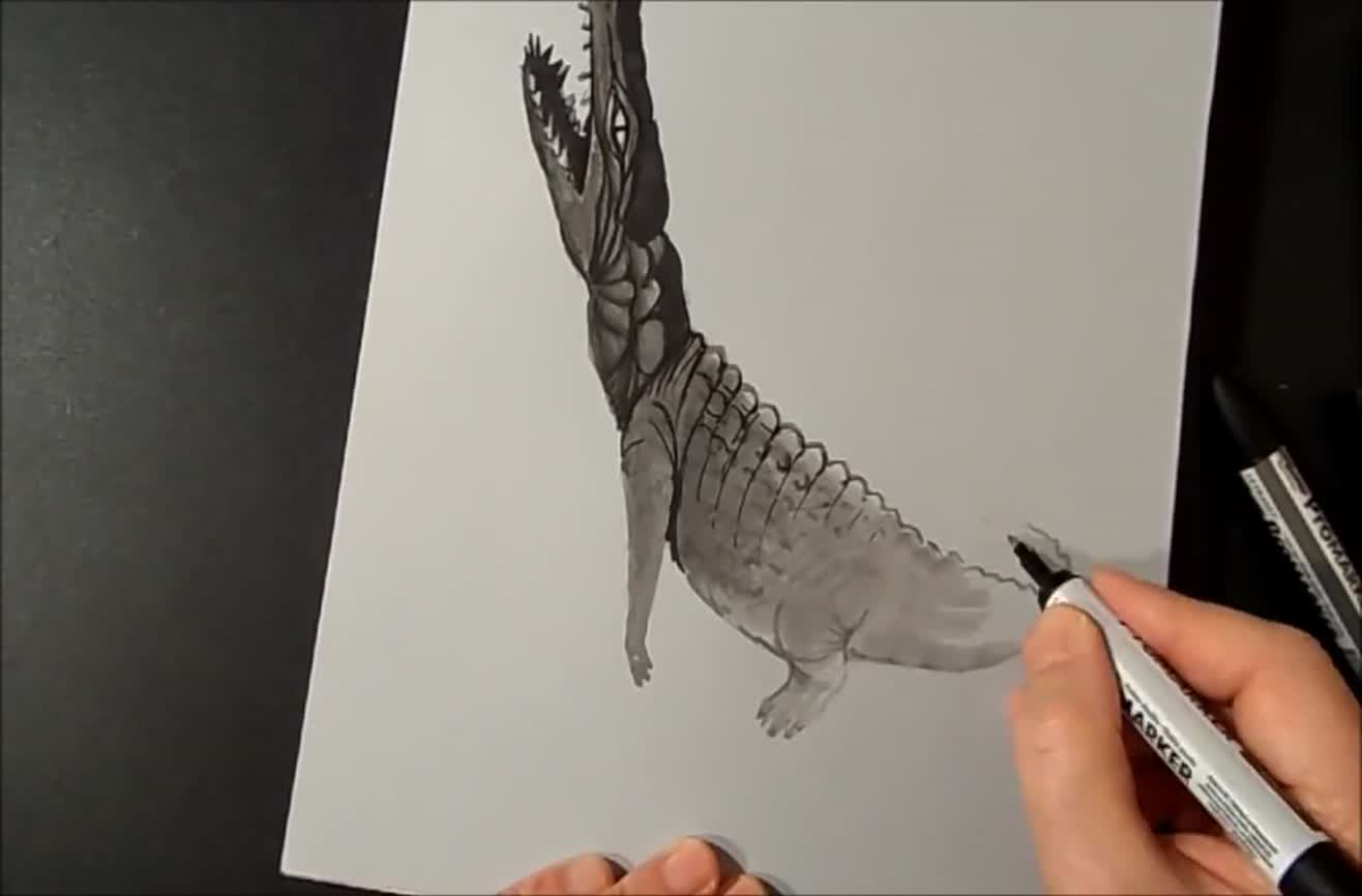 Animal Sketch 3D Draw for Kindergarten