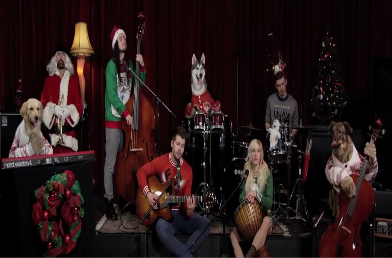 A band and some dogs play a Christmas song.