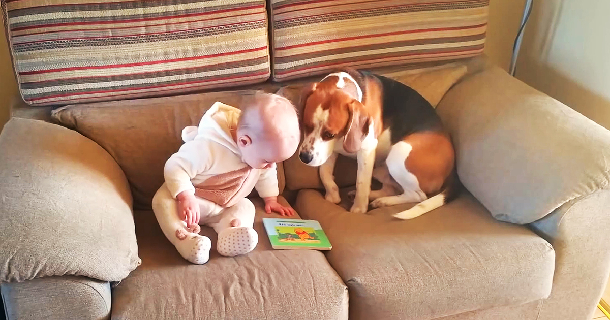 Why you should have a dog and a baby.