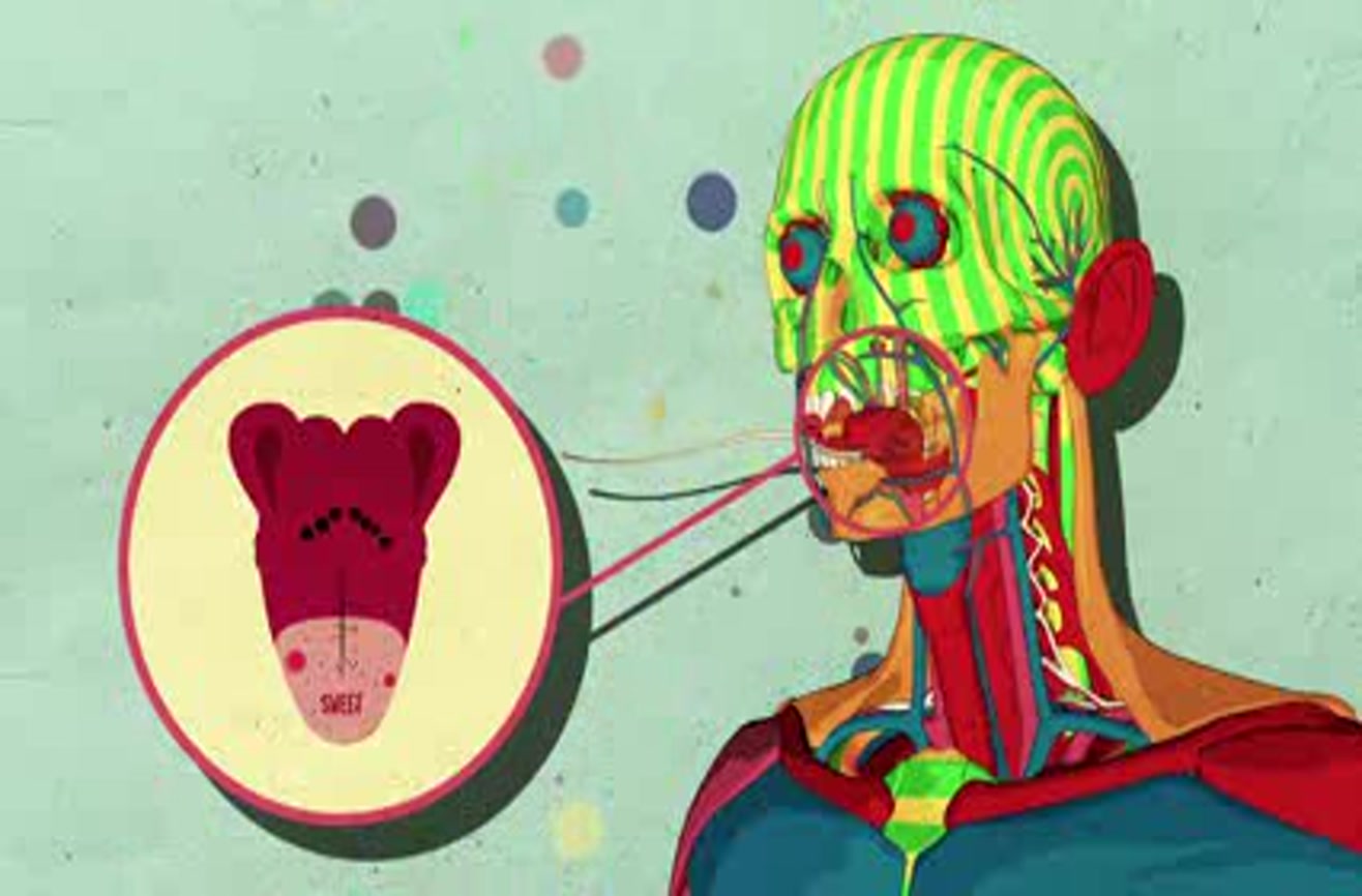 How Sugar Affects The Brain How Sugar Affects The Brain