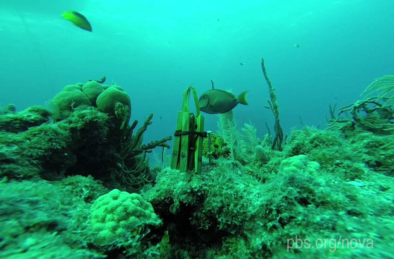 Two Weeks Under a Plastic Sky