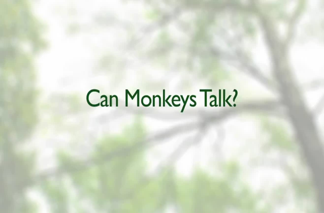 can monkeys talk in sign language