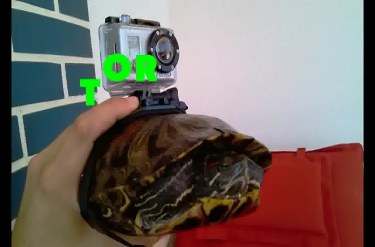 Chlorinefree water Ever seen a turtle with a tortucam?