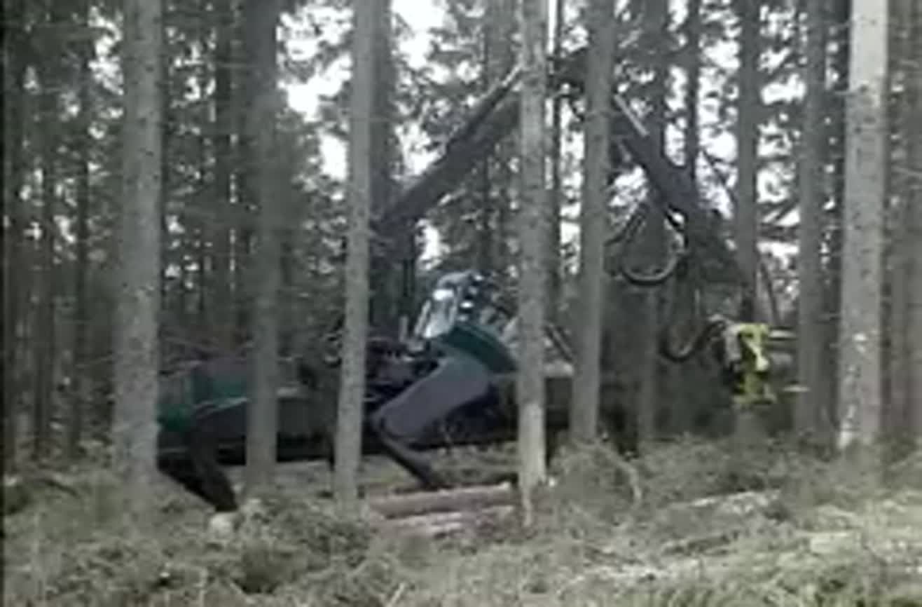 Walking mechanical harvester.