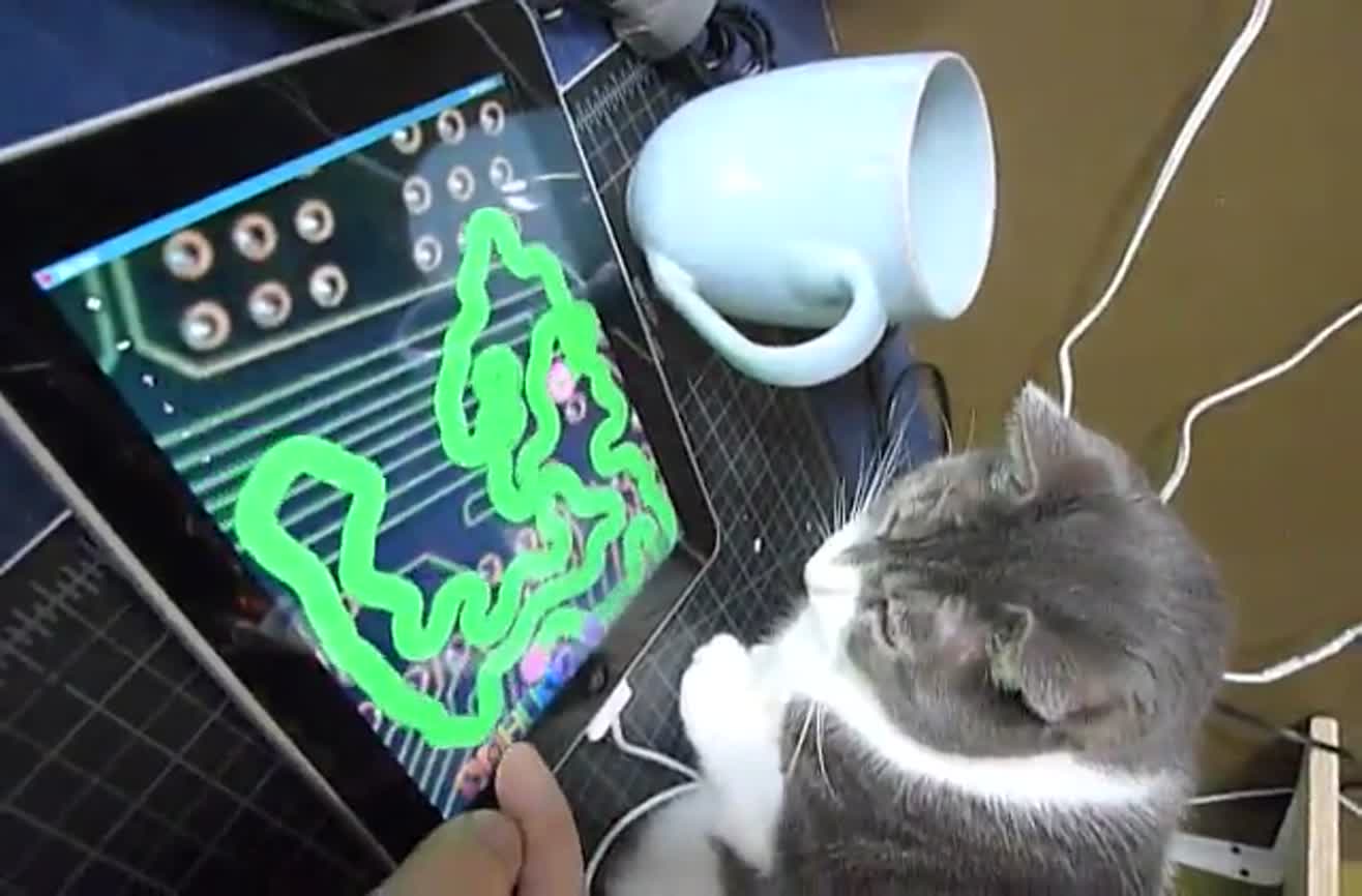 ipad cat toy