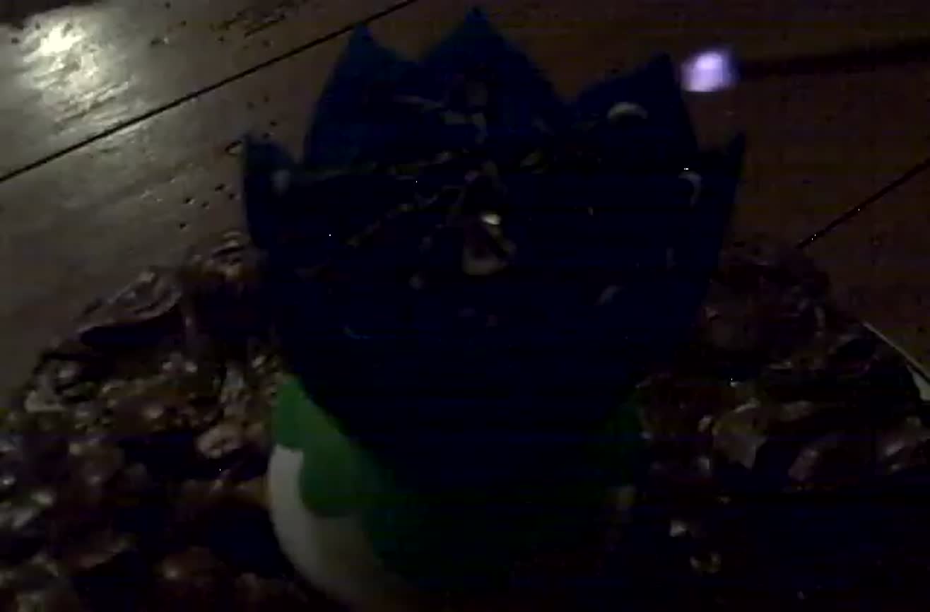 Coolest birthday candle ever.