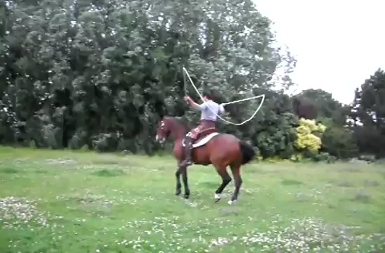 Jumping rope with a horse.