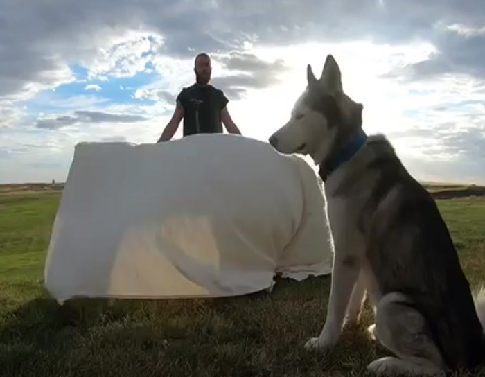 Magician pulls the disappearing trick on his dog.