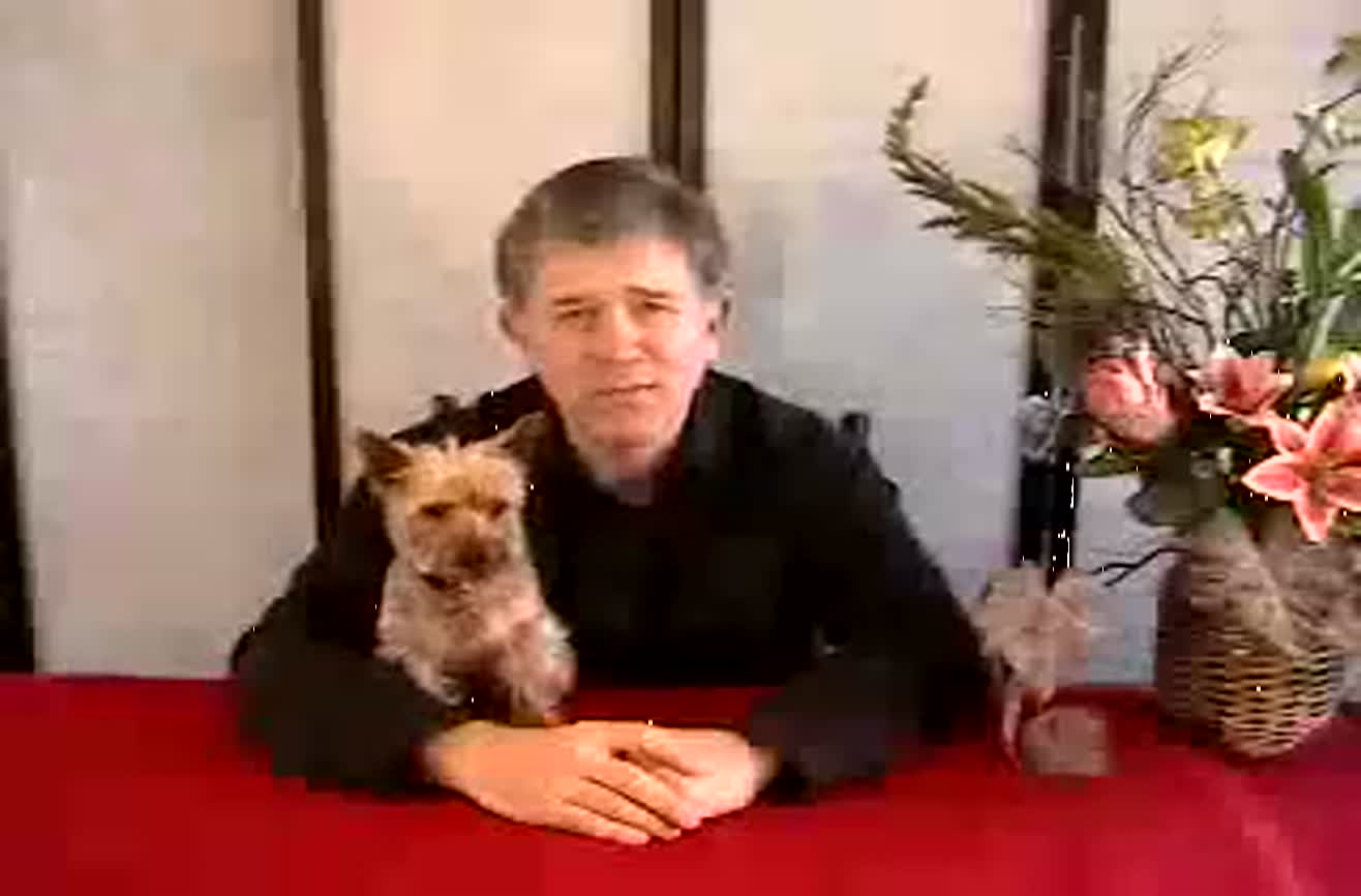 World s Greatest Poker Playing Dog 