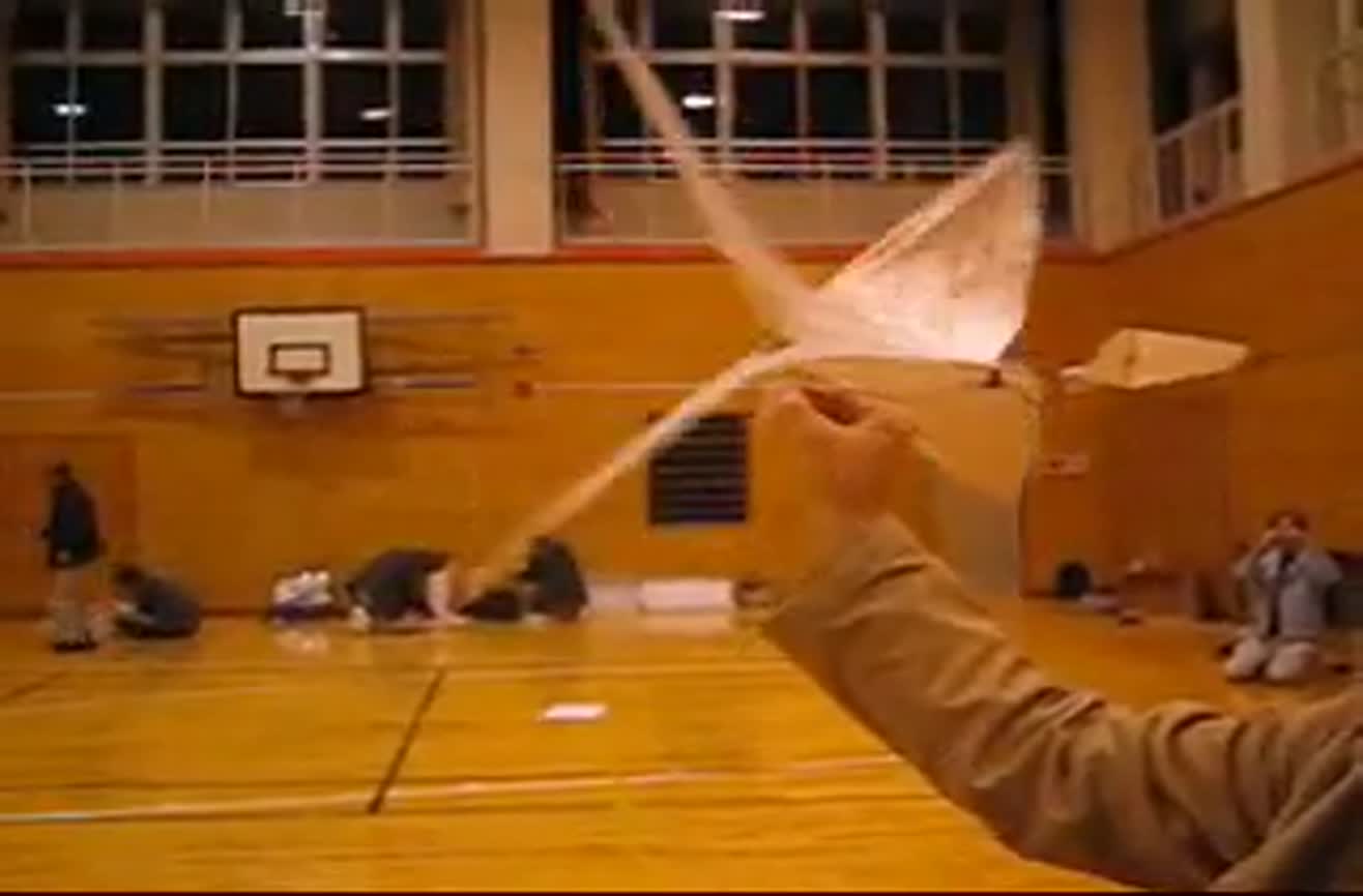 Slow fly ornithopter.