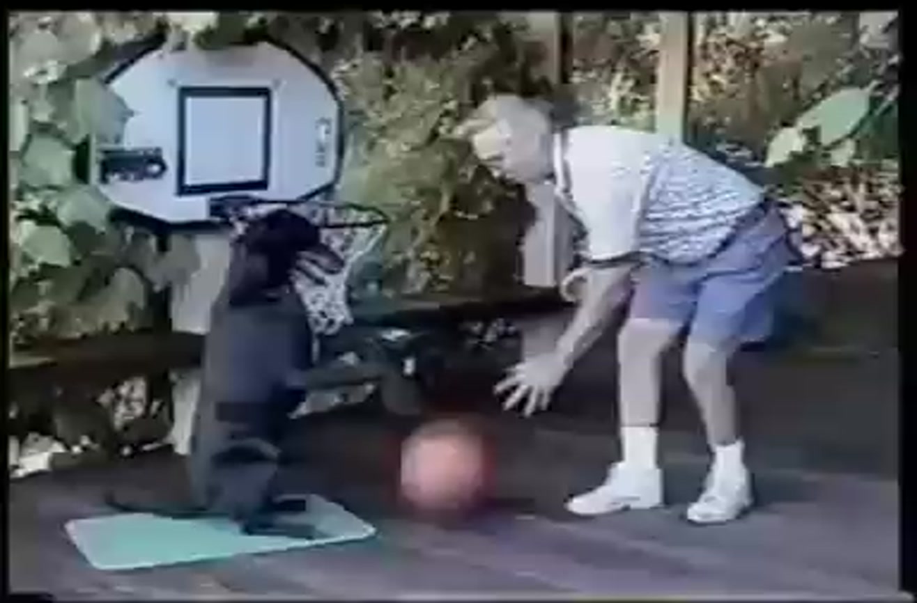 World's first basketballplaying dog.