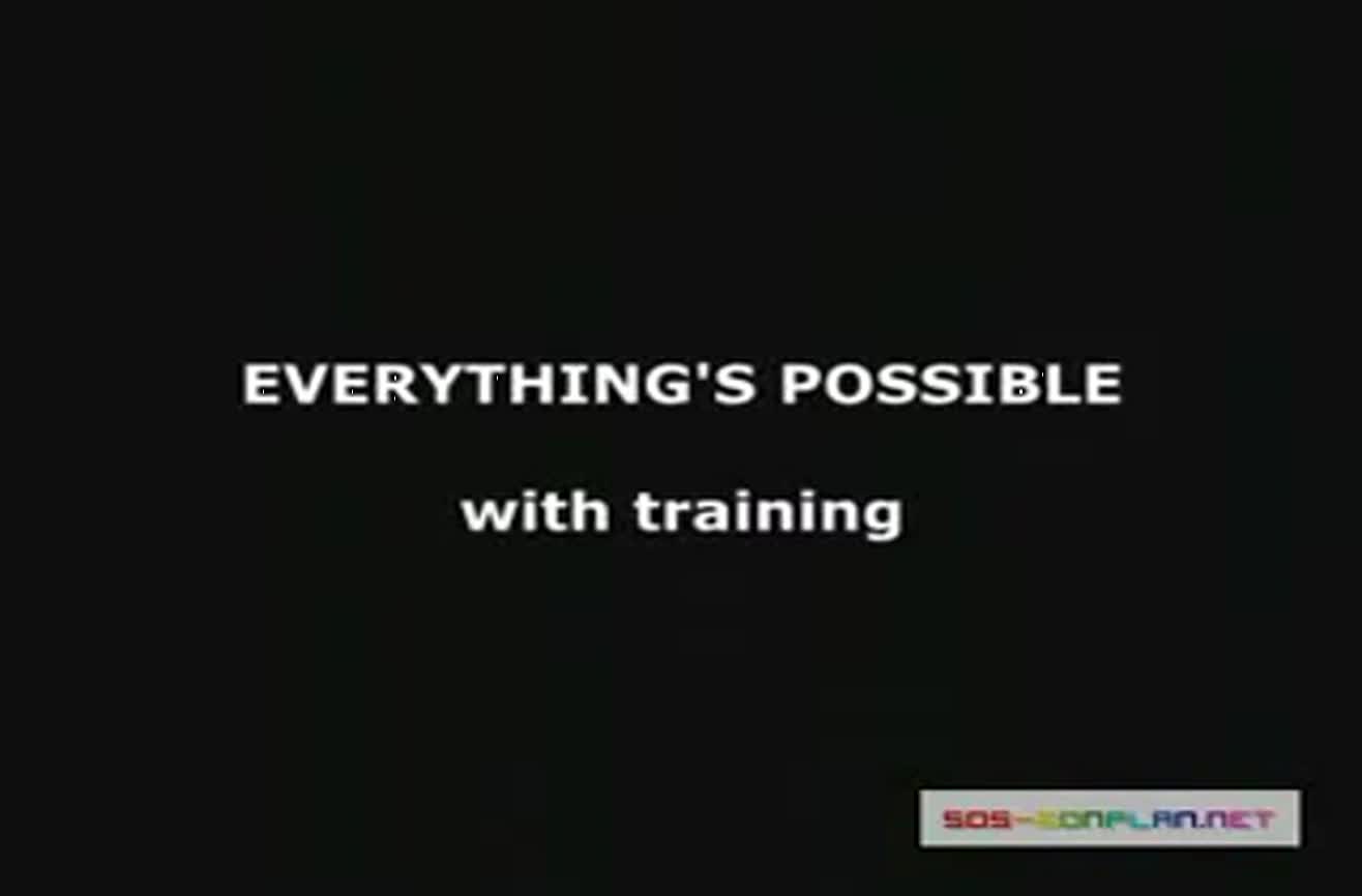 Everything Is Possible With Training And Practice