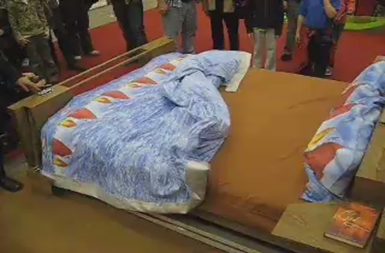 Invention Bed makes itself.