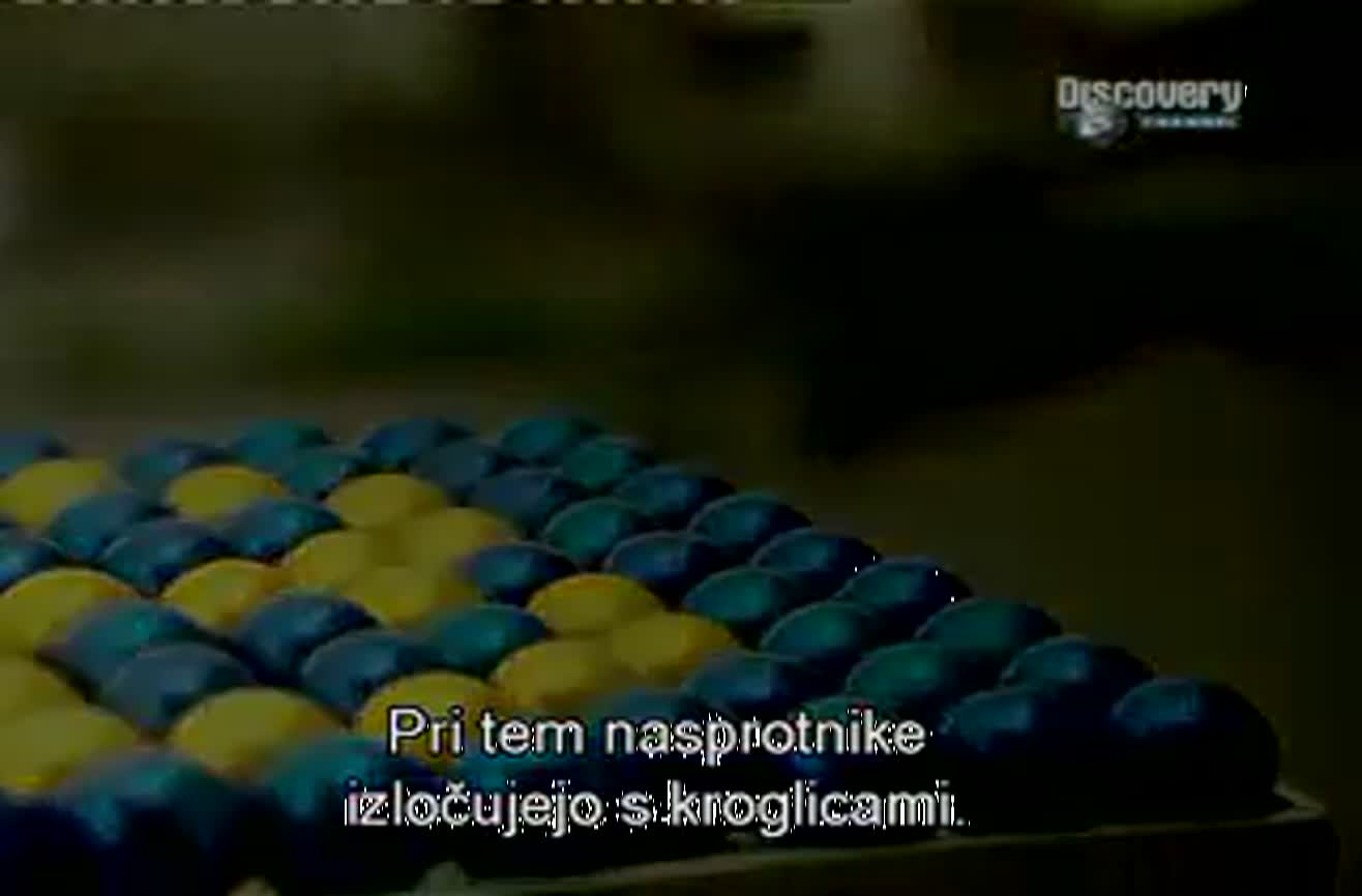 How It's Made Paintballs.