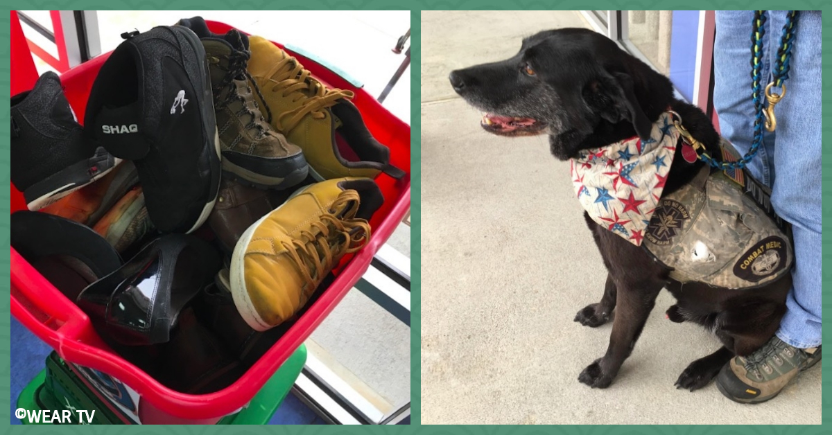Nonprofit Takes Old Shoe Donations to Raise Money to Train Rescue Dogs for Veterans