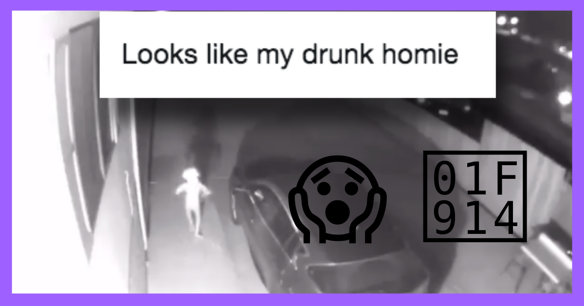 Home Security Cam Captures Footage of ... Dobby the House Elf?