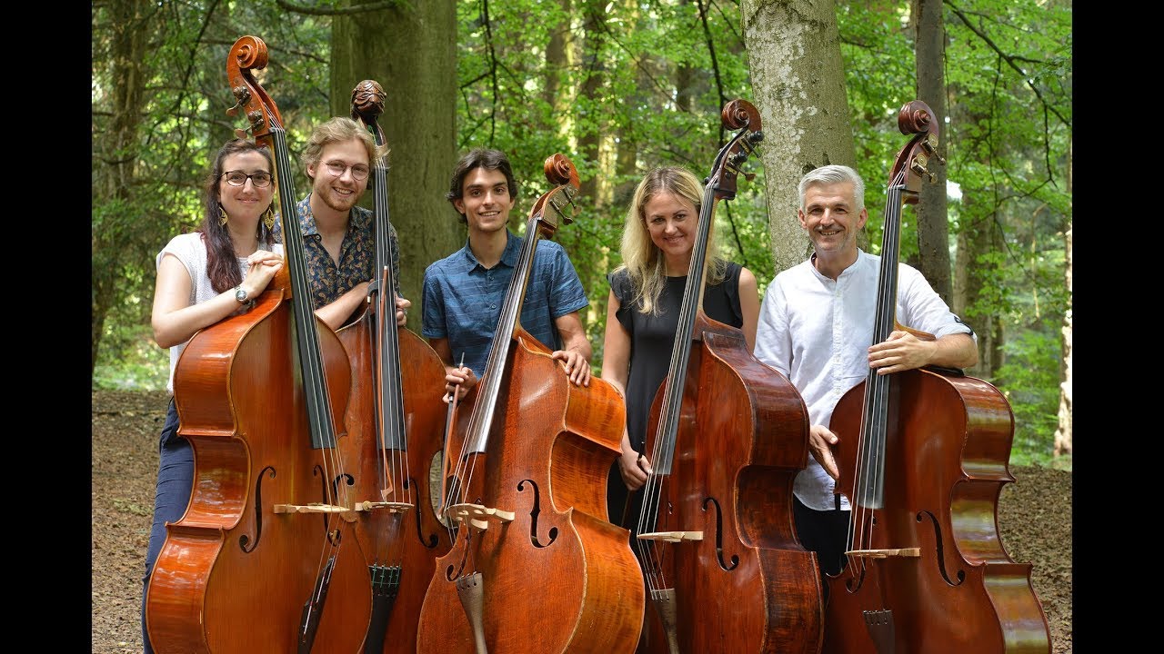 Double bass quintet cover of "Pink Panther"