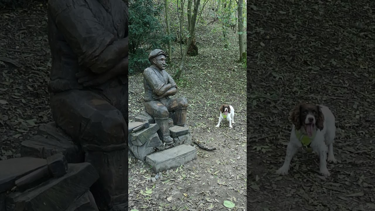 Dog relentlessly tries to play fetch with statue