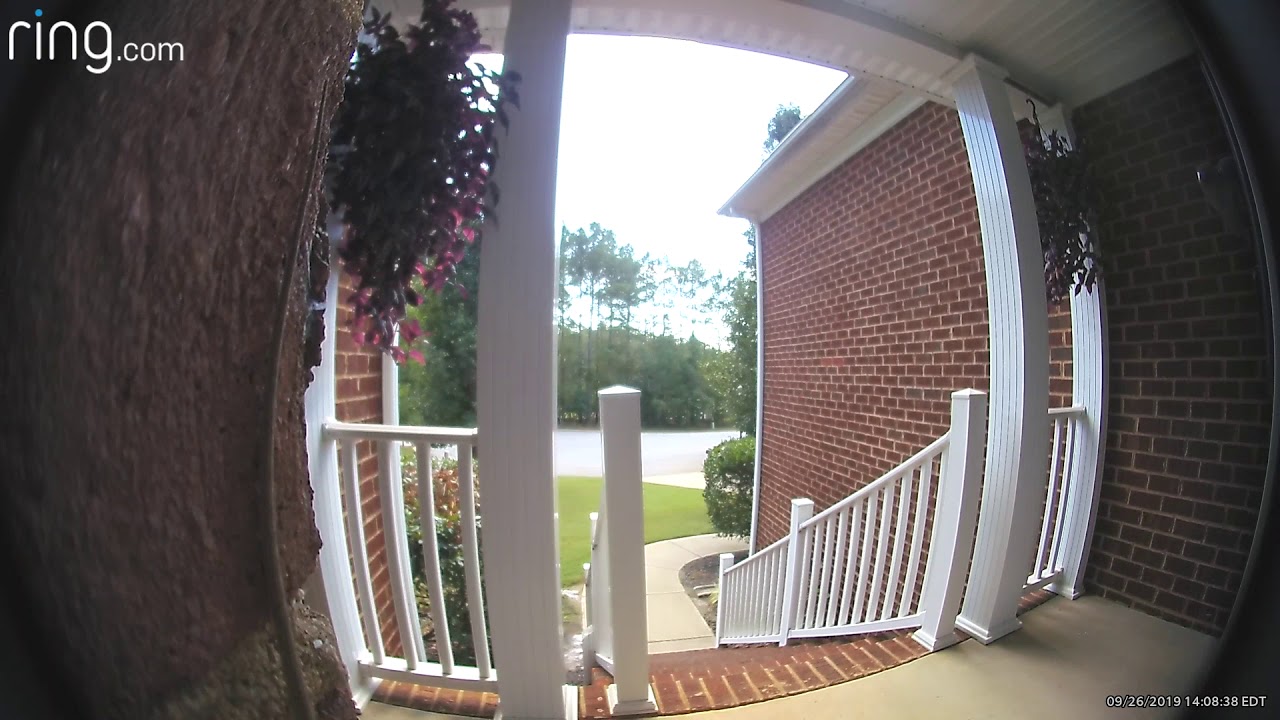 Lizard checking in on security camera