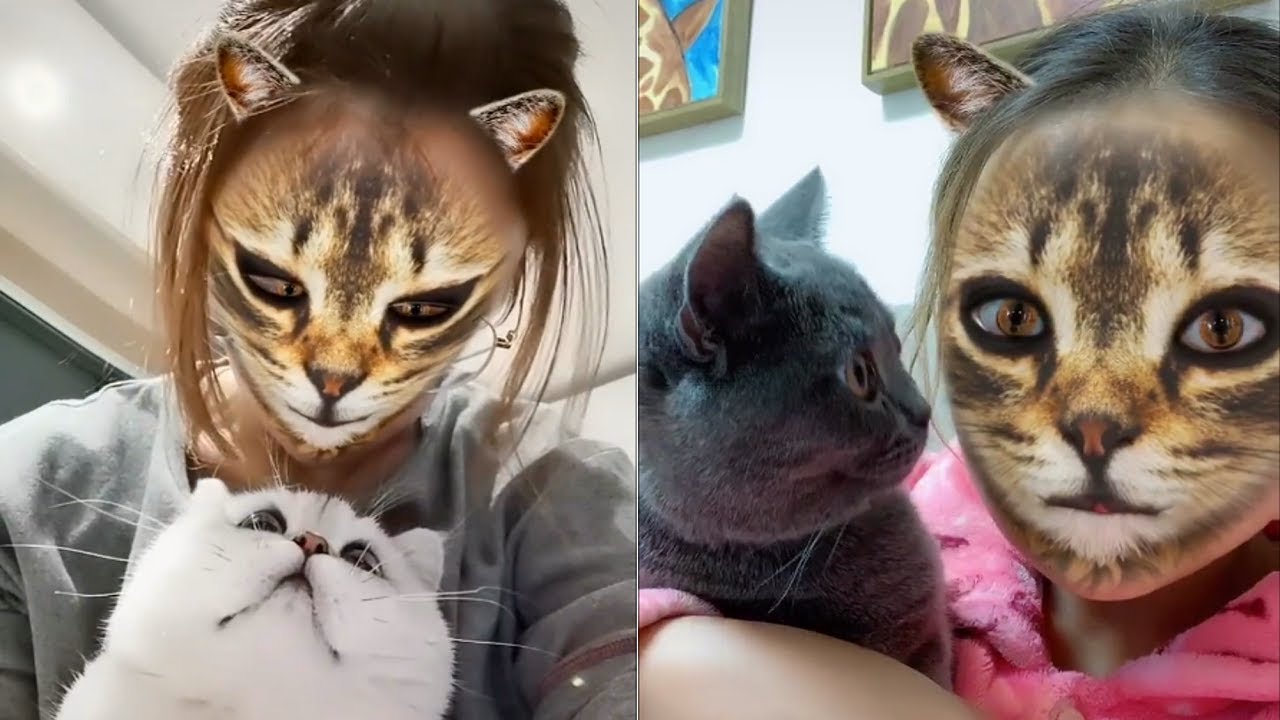 Cats' various reactions to owners using cat filter app