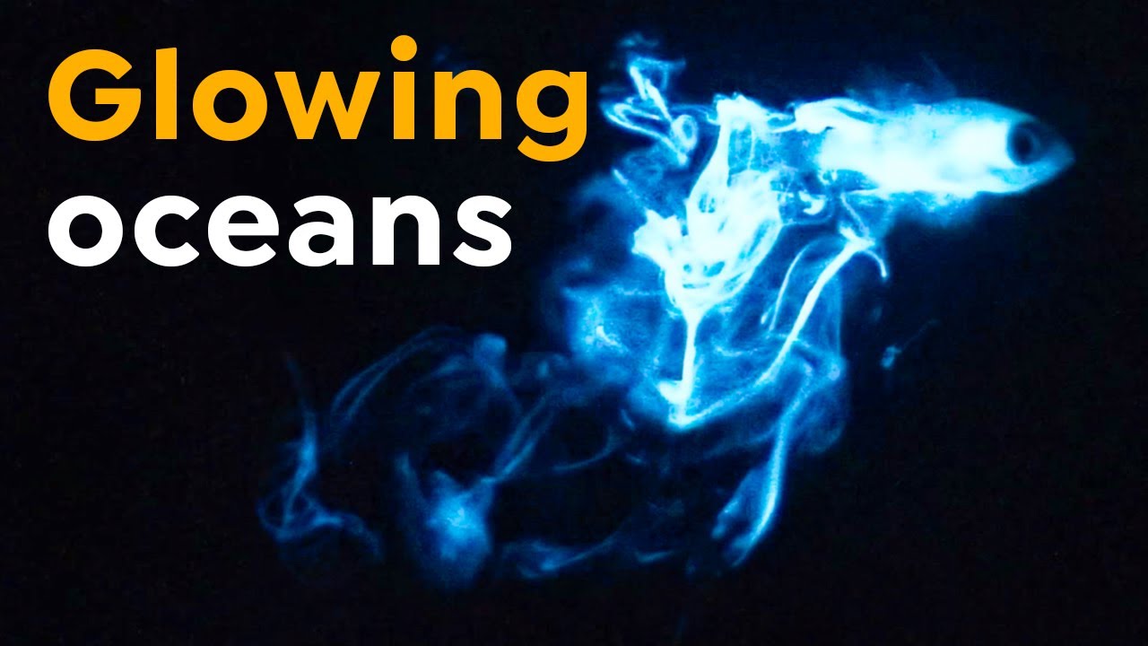 What makes some ocean waves glow?
