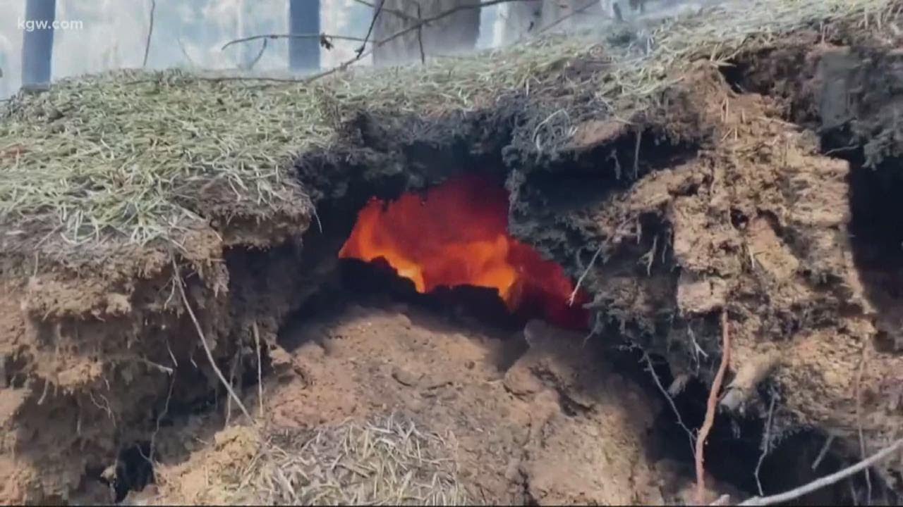 The incredibly dangerous fires burning underground in Oregon