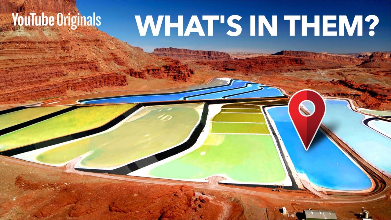 Whimp Pool Half of Earth is supported by these colorful pools.