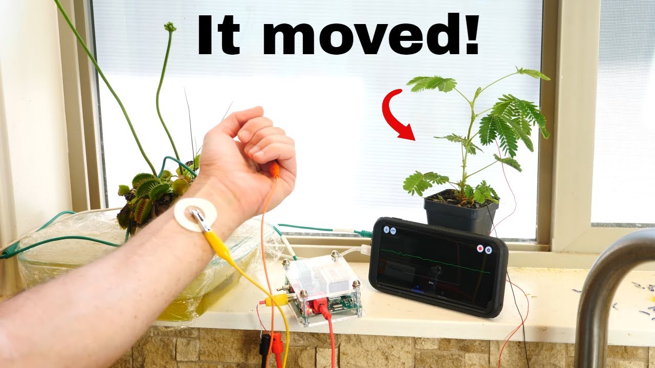 How plants communicate to each other and to us