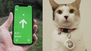 Apple AirTags On A Cat Apple AirTags On A Cat