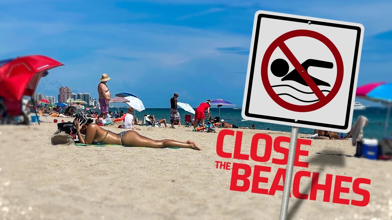 Would you swim during the Florida mullet run?