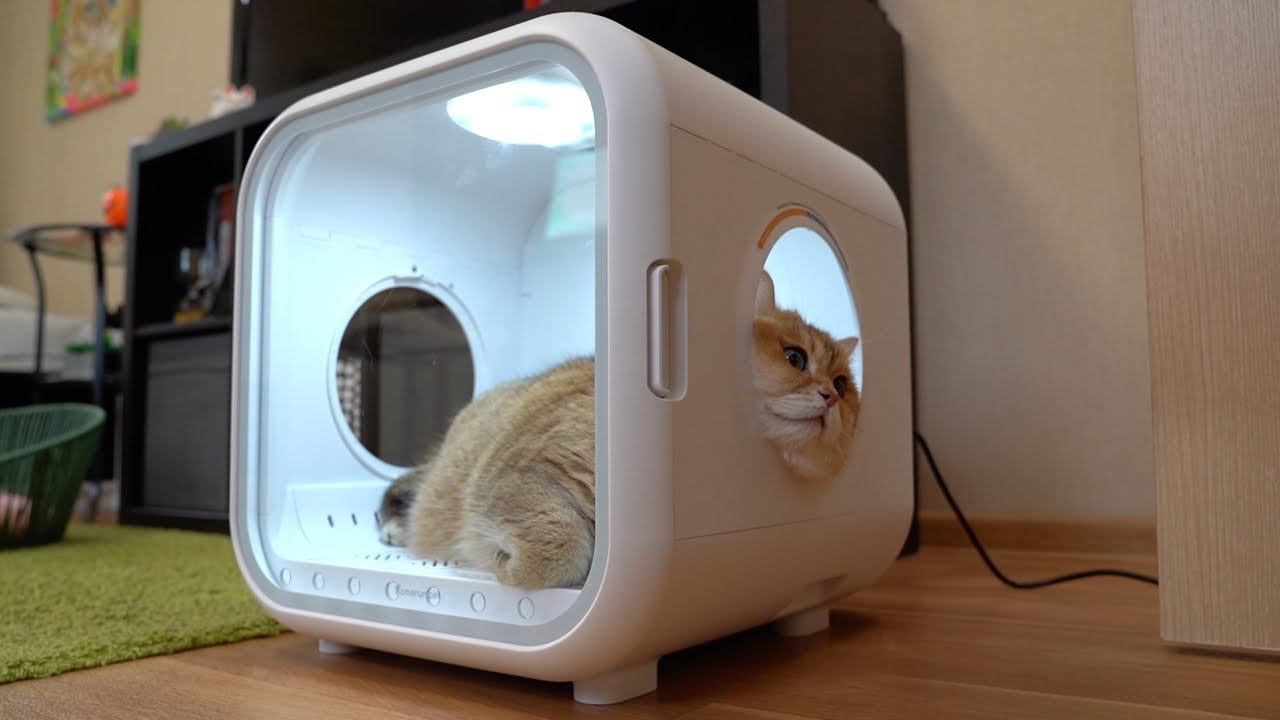 Comfydrying contraption for pets.
