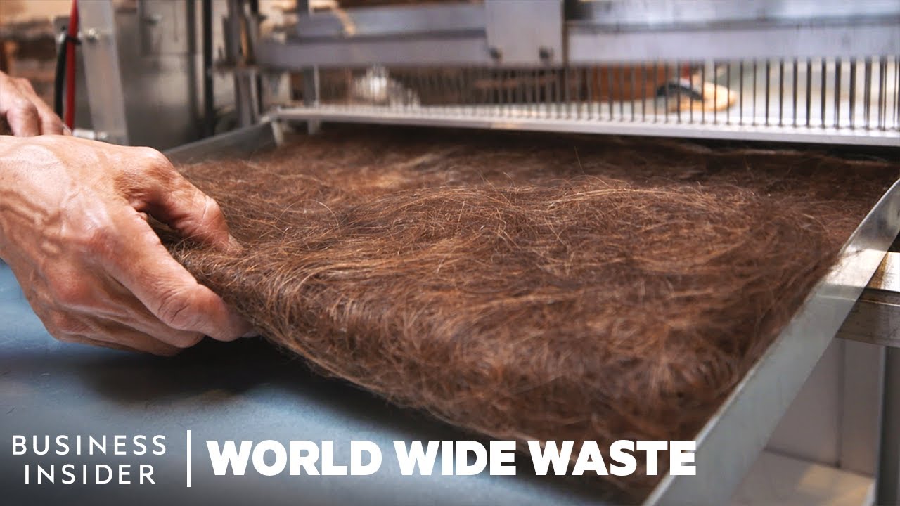How human hair mats clean up oil spills.
