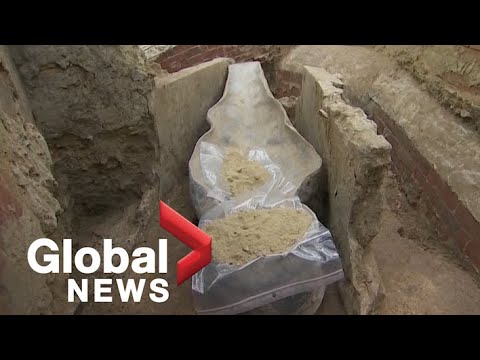 Notre Dame cathedral restoration reveals ancient artifacts.