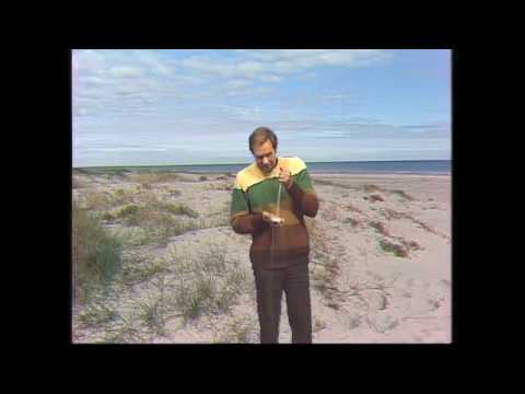 Why does some sand "sing?"