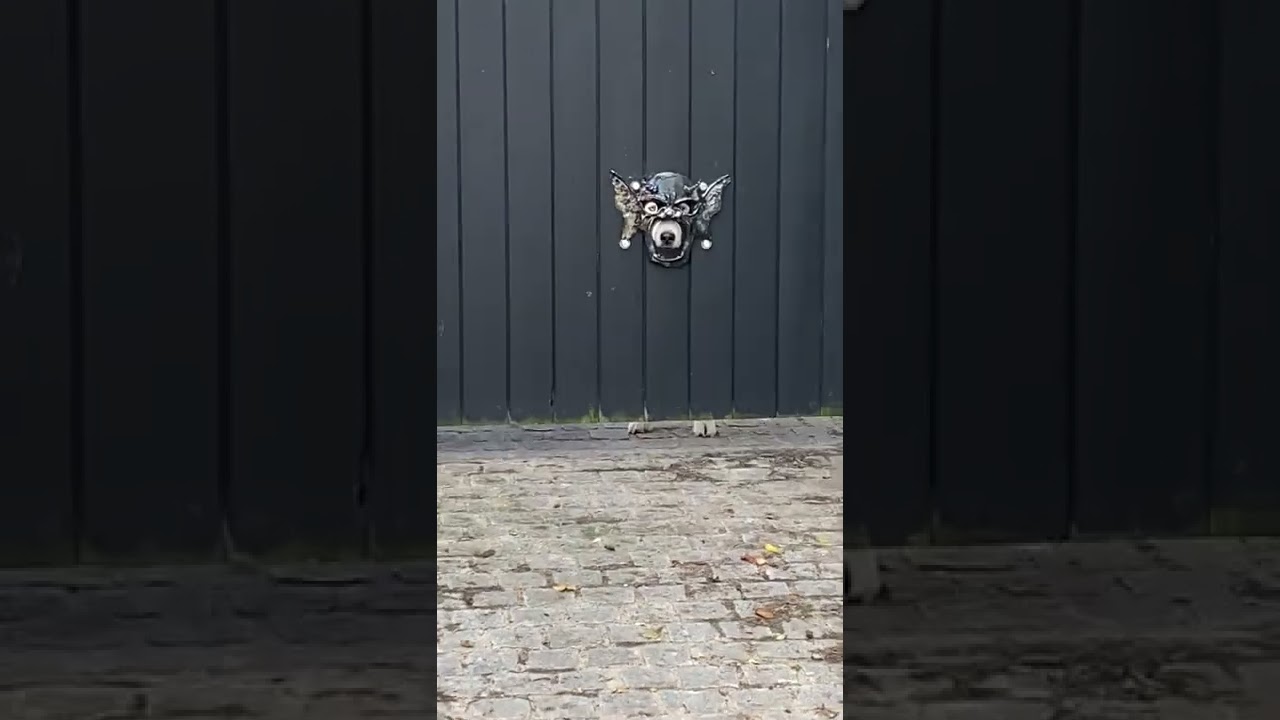 Gate with builtin Husky masks.