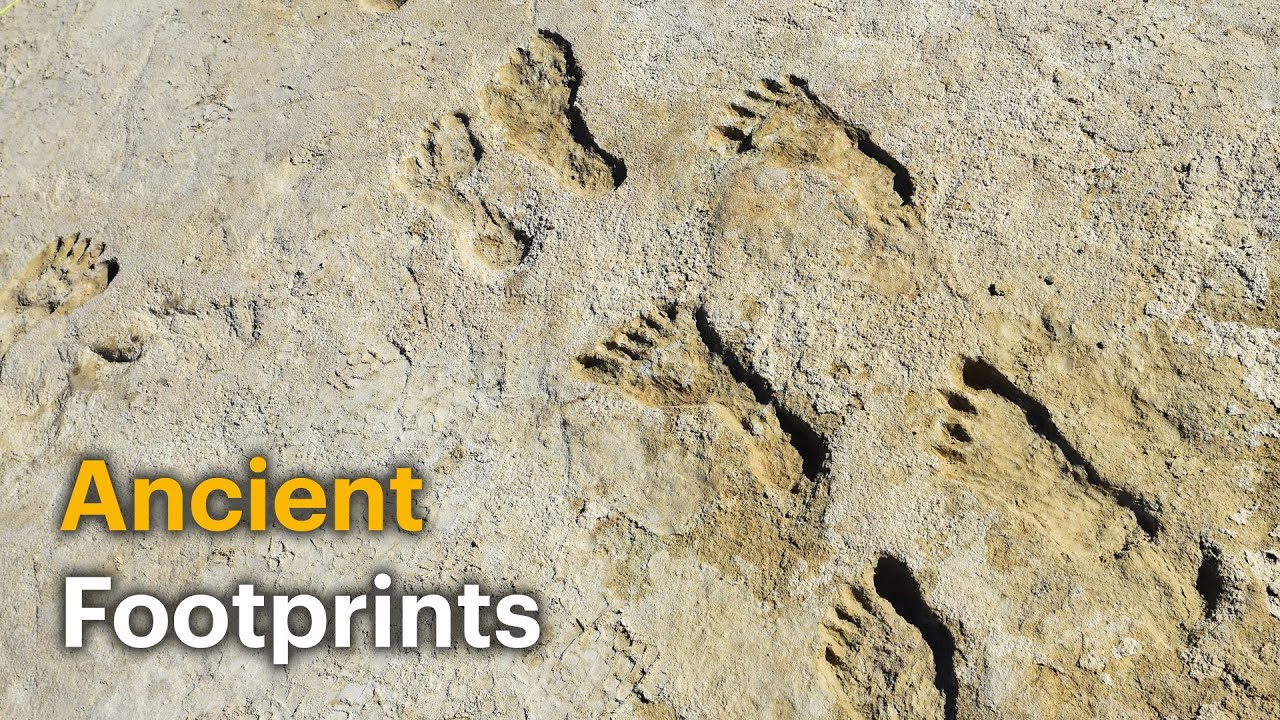 footprints-in-sand-may-change-what-we-thought