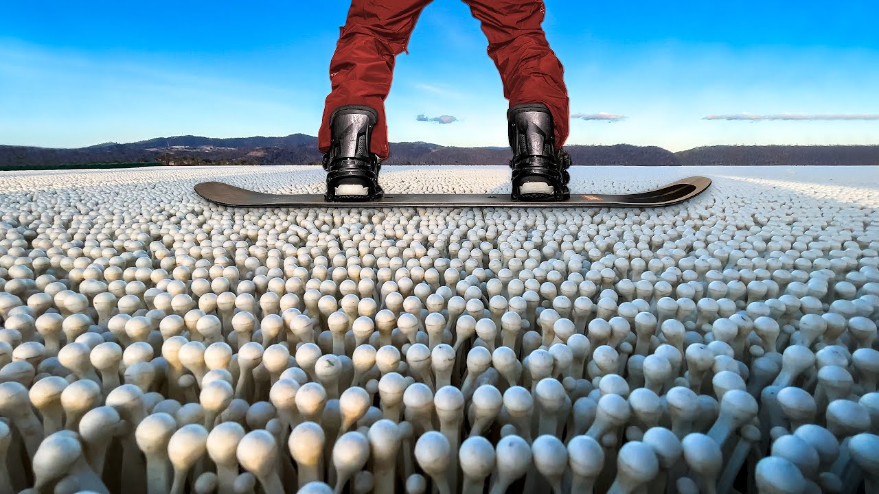 Traveling 10,000 miles for fake snow.