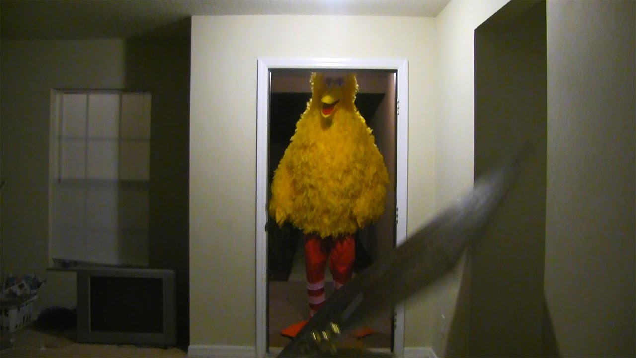Big Bird kicks down door.