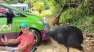 A Cassowary Crasher A Cassowary Crasher
