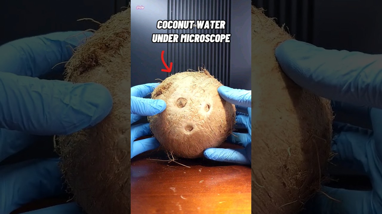 Coconut water under microscope.